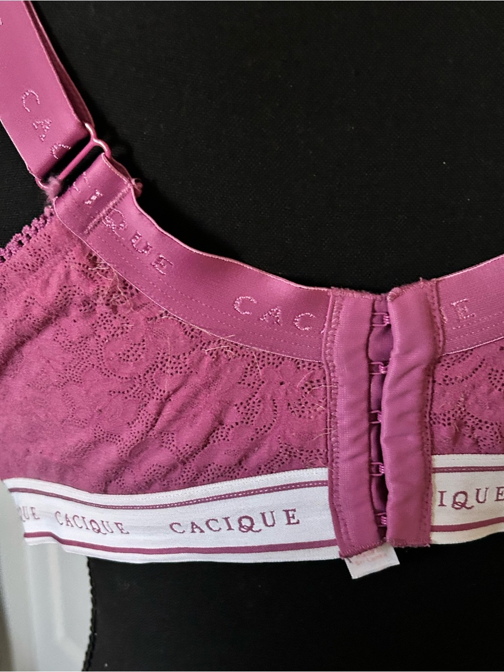 Cacique Raspberry Molded Underwire Bra - Picture 5 of 5